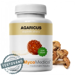 Agaricus w optymalnym stężeniu | MycoMedica